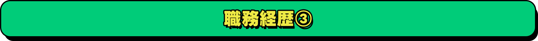 職務経歴3