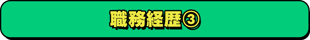 職務経歴3